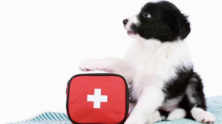 Keep a first-aid kit at hand