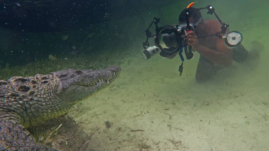 One of the many crocodiles Dhritiman has seen from close quarters during his career