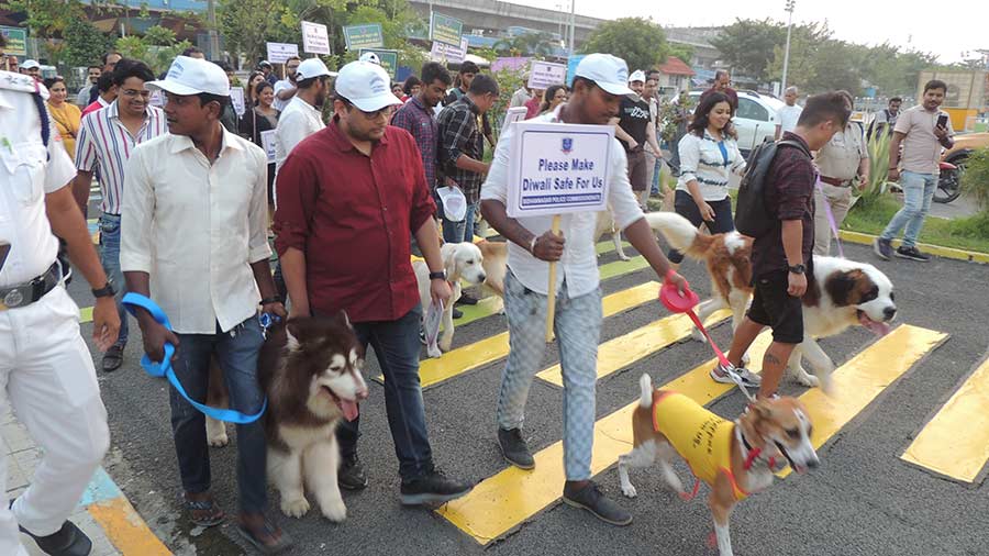 Pets and their owners at the rally to raise awareness about a safe and silent Diwali