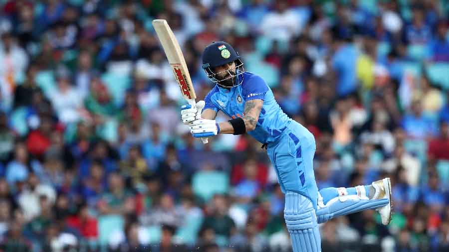 T20 World Cup | Shane Watson In Awe Of Virat Kohli's Batting, Calls His ...