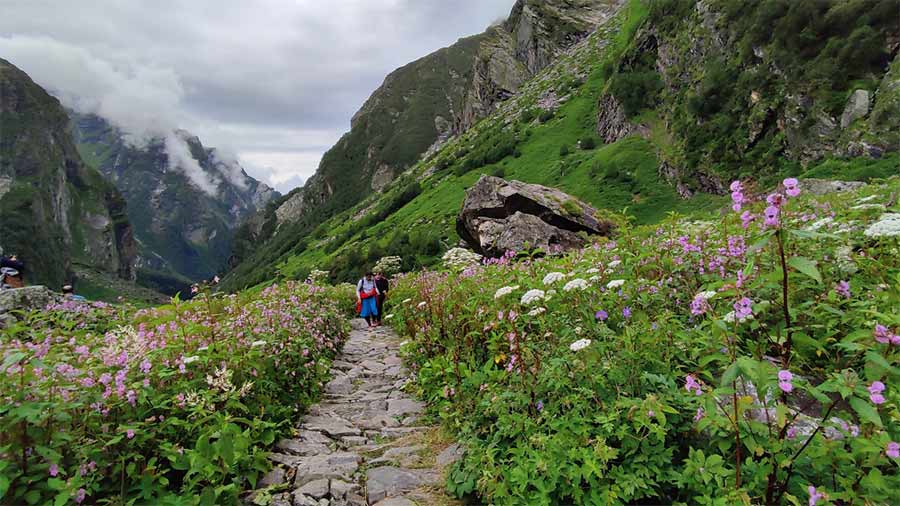 A trek to Valley of Flowers in Uttarakhand is any Himalayan hiker’s delight