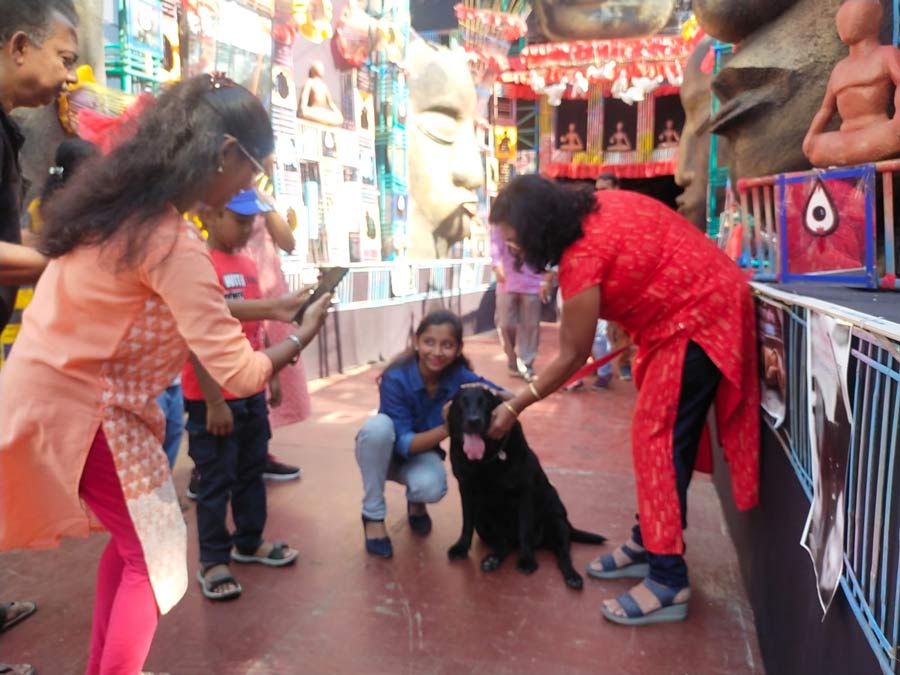 In its 49th year, the members of Chandernagore Kanai Lal Pally Club organised a pet-friendly Jagaddharti Puja. Enthused pet owners interacted and also clicked photographs with their pets.