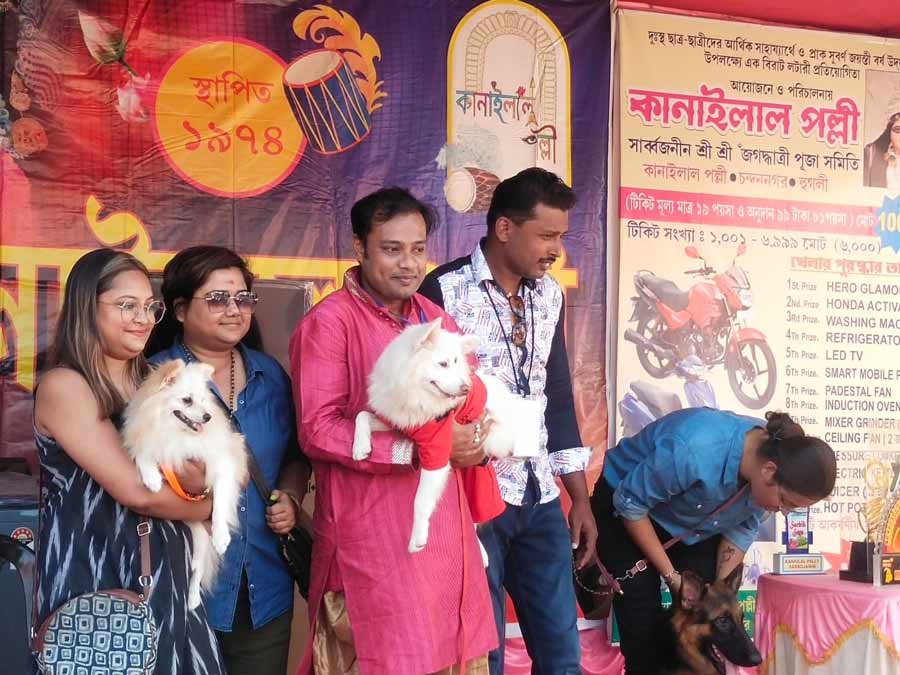 The Kanai Lal Pally puja, being organised on an 11,000 sq ft ground, has several volunteers to guide visitors. Even though the puja theme is not related to pets or animals, the club hopes to encourage visitors to take care of strays around their home