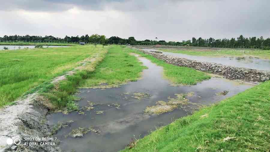 The water body in the East Kolkata Wetlands that is being reclaimed