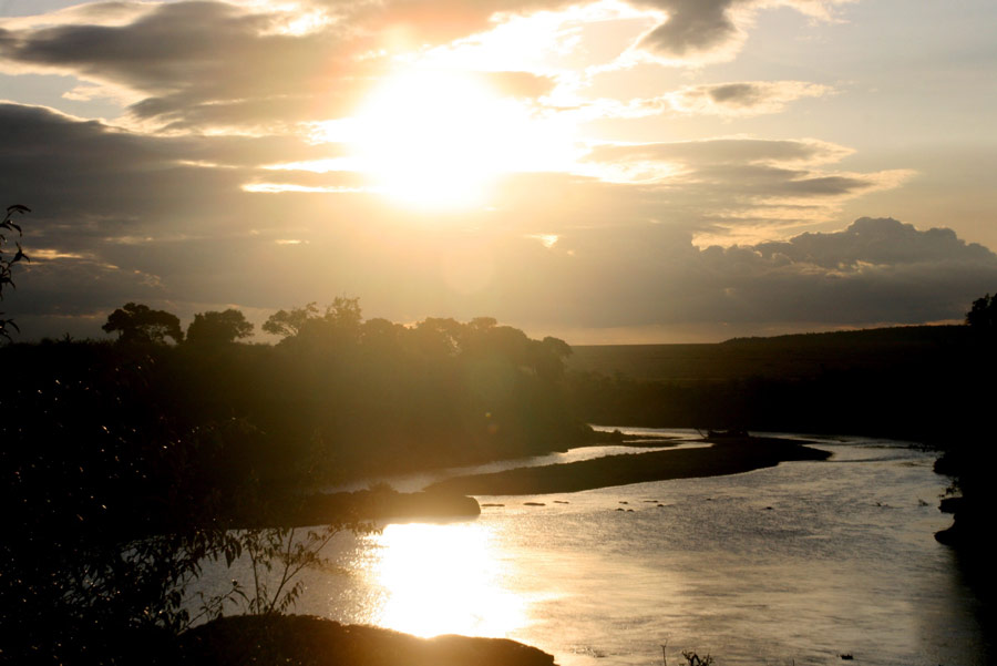 As the day comes to an end, the African sun sets over the Mara river, turning it into a glistening beauty. This wide water body is the watering hole and means of survival for all animals in the grassland. One can often spot hippopotamuses taking refreshing dips in the river