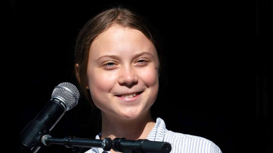The proceeds from the sale of the painting will be used to pay for the tuition classes Greta Thunberg needs for missing school on Fridays since 2018