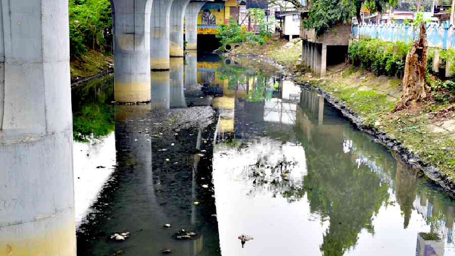 Share of Kolkata in untreated sewage: 20% or 311 million litres a day