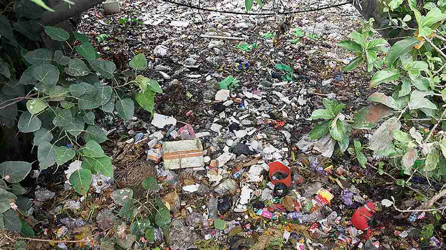 Garbage dumped on a vacant plot in Banerjee Para on Tuesday. 