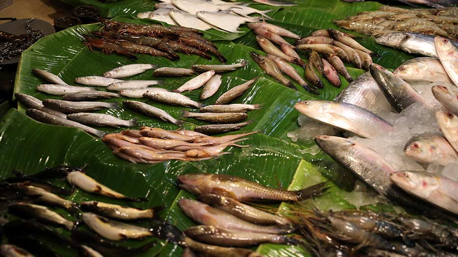 Pomfret, prawns, 'ilish' on ice, and a variety of ‘chhoto maach’ like parshe, tyangra and bele at the Gariahat fish market