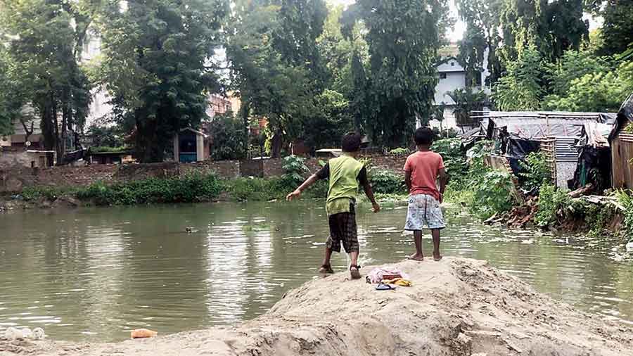 A plot opposite Rabindra Okakura Bhavan in DD Block, where an edifice has been razed to the ground, has become a massive pond, collecting rainwater. “Ward workers have been spraying chemicals into it but I have written to the corporation to have the water removed and to ask the owners  of the plot to start construction immediately,” said local councillor Tulsi Sinha Roy.  About 10 people in her ward — comprising blocks like CD, DD, EC and DD — have fallen prey to dengue this season and they have found larvae in all these houses. “Flower pots, terraces and backyards are common areas of water accumulation and I’ve residents to be more conscious.”