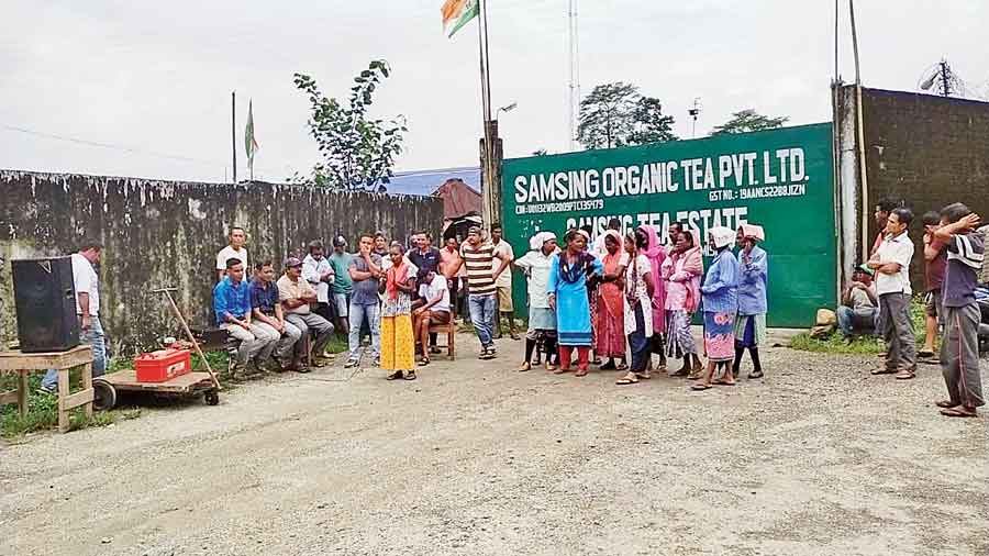 Workers hold a demonstration in the Samsing tea garden on Friday. 