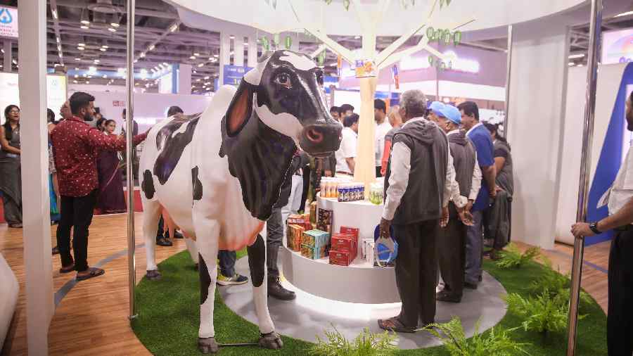 Narendra Modi International Dairy Federation World Dairy Summit 2022