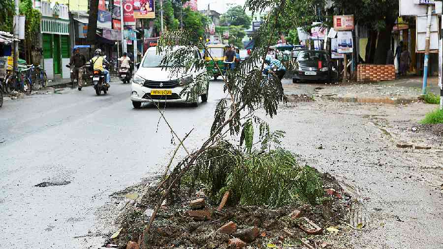Tree branches placed on a crater on Dum Dum Road on Monday. 