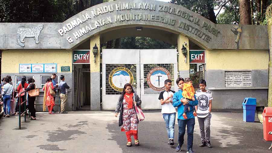 zoo - Darjeeling's Padmaja Naidu Himalayan Zoological Park recognised as  the best in India - Telegraph India