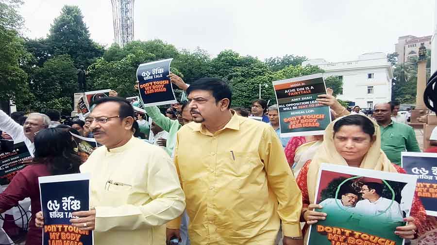 Trinamul MLAs protest with posters on the Assembly premises on Thursday. 