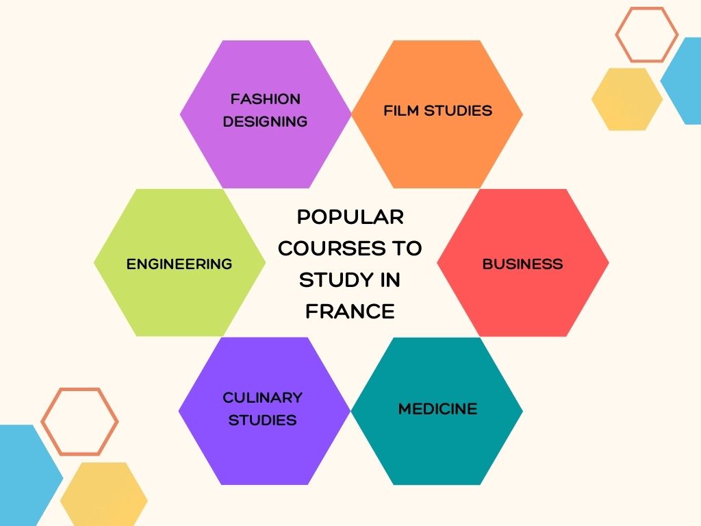 Popular Courses to Study in France