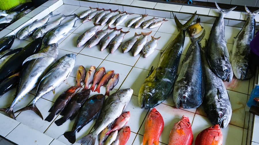 A walk through Male’s fish market is recommended for culinary enthusiasts 