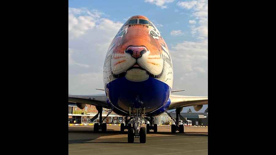  A special aeroplane with a picture of tiger in Namibia