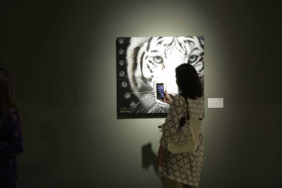 A visitor at an exhibition titled ‘Tigris: the Queen of Wildlife’ by Italian artists Maurizio Boscheri and Daniel Calovi, curated by Mario Liberali, at the Kolkata Centre for Creativity. The exhibition will end on September 24.