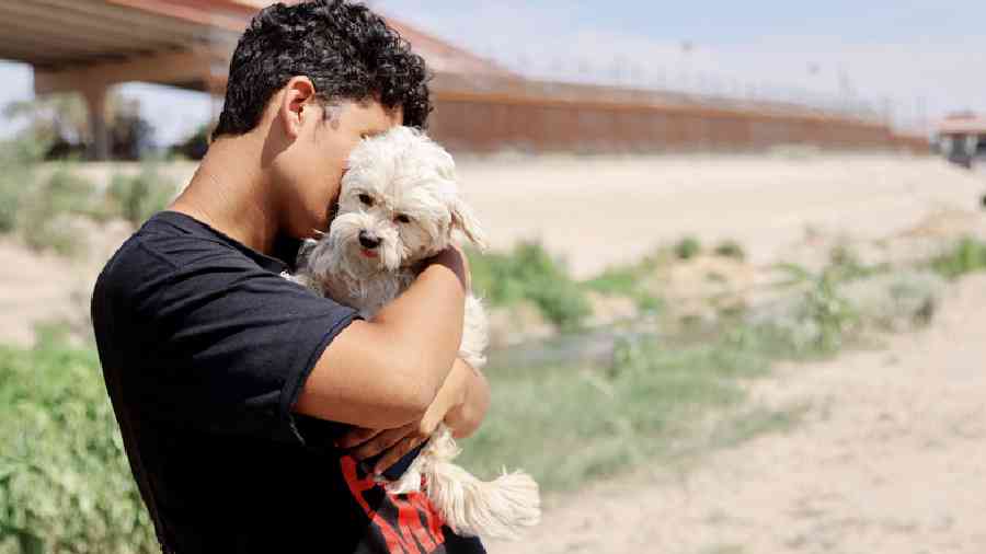 A Venezuelan migrant, Brayan Pinto, who trekked several countries to reach the US-Mexico border, was forced to leave behind his beloved companion, a Pekingese-toy poodle mix, as the authorities did not allow the dog to cross the border