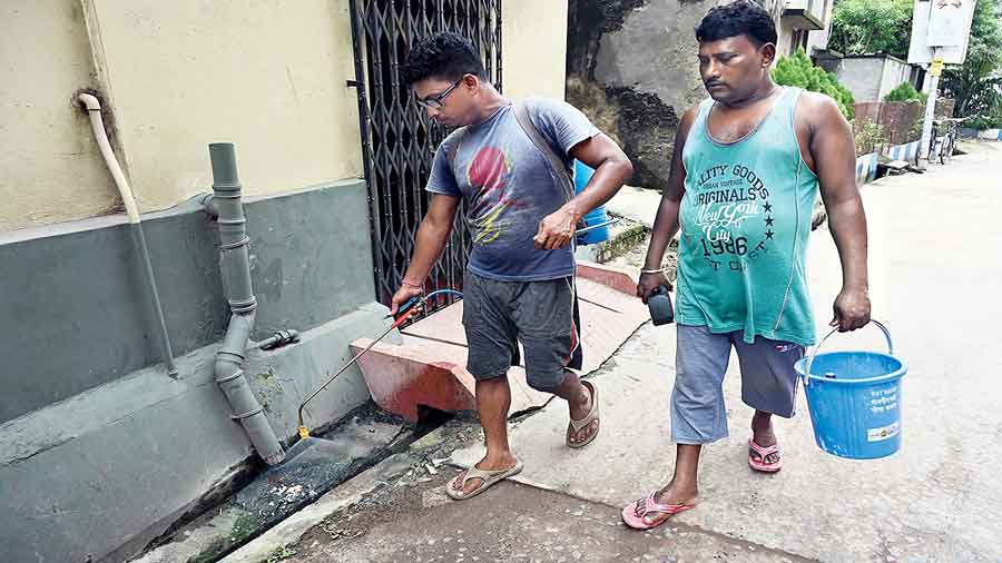 Municipal workers spray larvicide in Burdwan on Wednesday. 