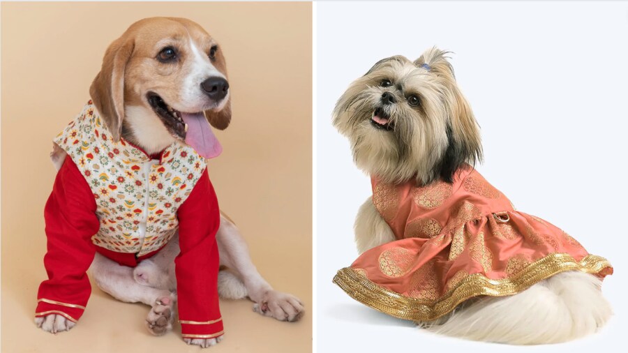 Dress up your pet dog to celebrate the #PujaVibes  