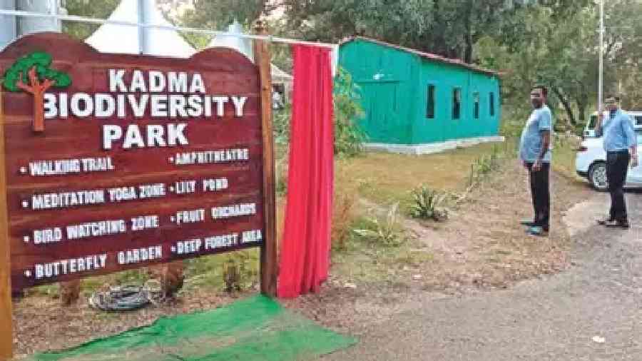 Kadma Biodiversity Park