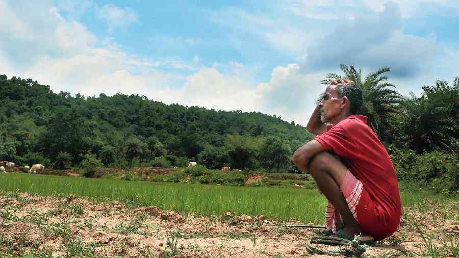 A farmer sits on his parched field in Dhanbad. The Kisan Credit Card scheme with an additional three per cent interest waiver may bring some relief to the farmers of Jharkhand which is staring at a drought-like situation. 