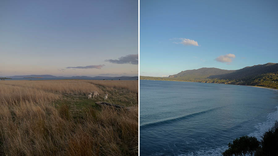 Vistas of Tasmania