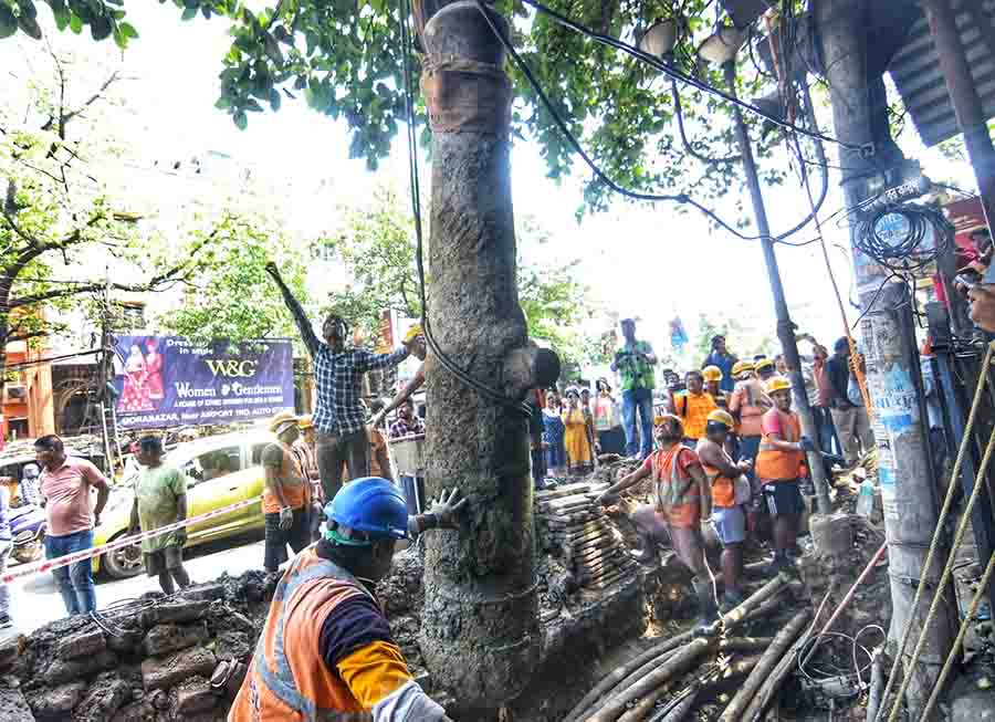 A heritage cannon was excavated from near the Central Jail and Jessore Road crossing on April 3. The 10.1 feet by 2 feet cannon possibly dates back to 1764 