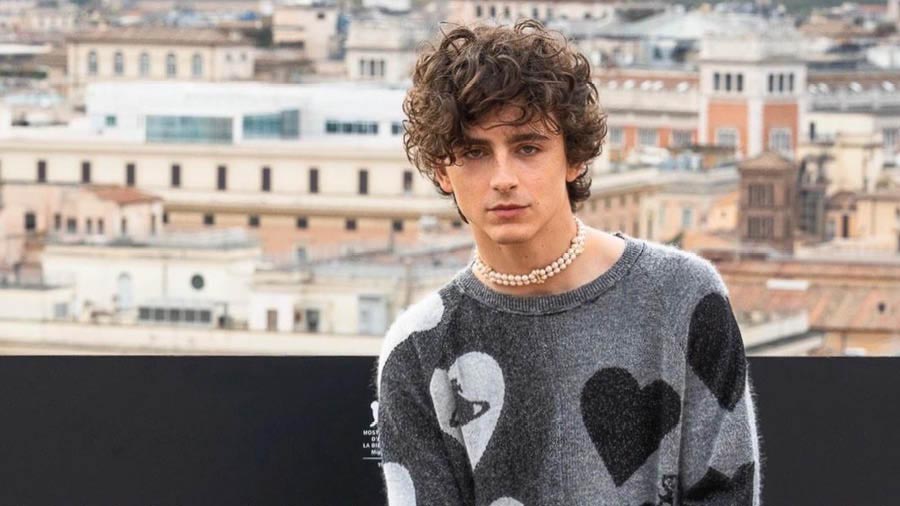 Timothée Chalamet  Timothee Chalamet will sing for Bob Dylan biopic, says  director James Mangold - Telegraph India