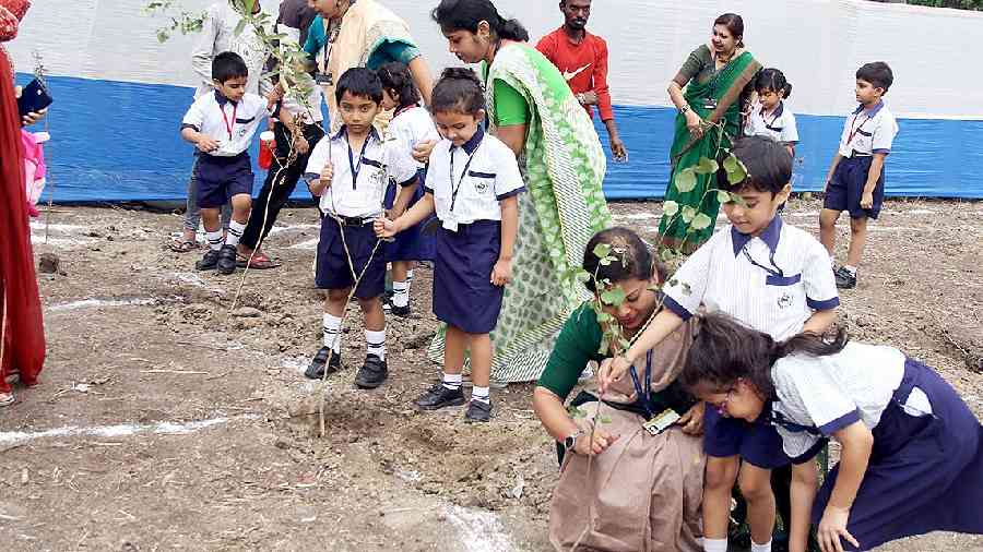 Green day, spring time &amp; career talk in Kolkata schools