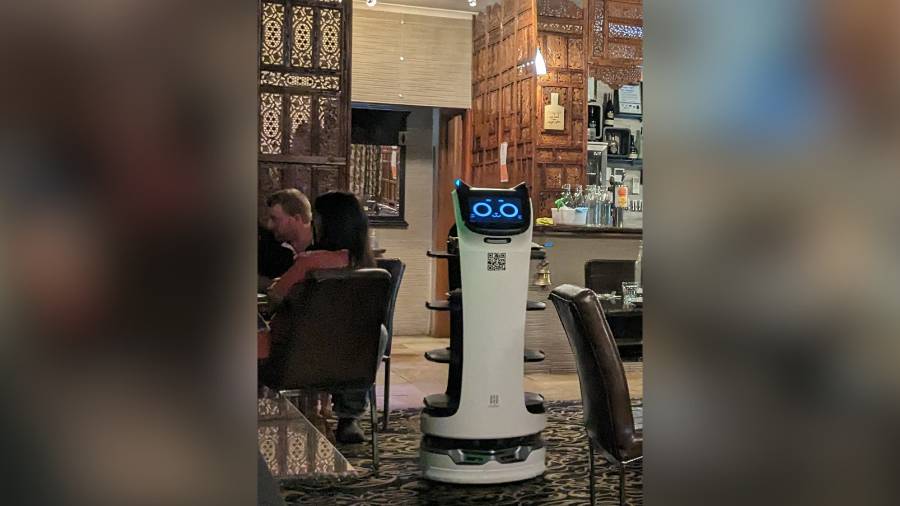 Robot Bella waits a table 
