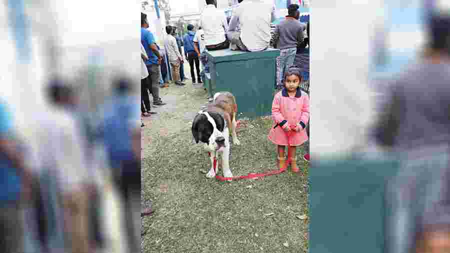 Three-year-old Jiya Roy was at the show along with her parents and pet Casper, a Chow Chow. “Casper is one and a half years old and he is my best friend. I play with him in the evening and take him out for walks along with my father. I’m glad to see so many people liking him and stopping by to pet him,” chirped Jiya