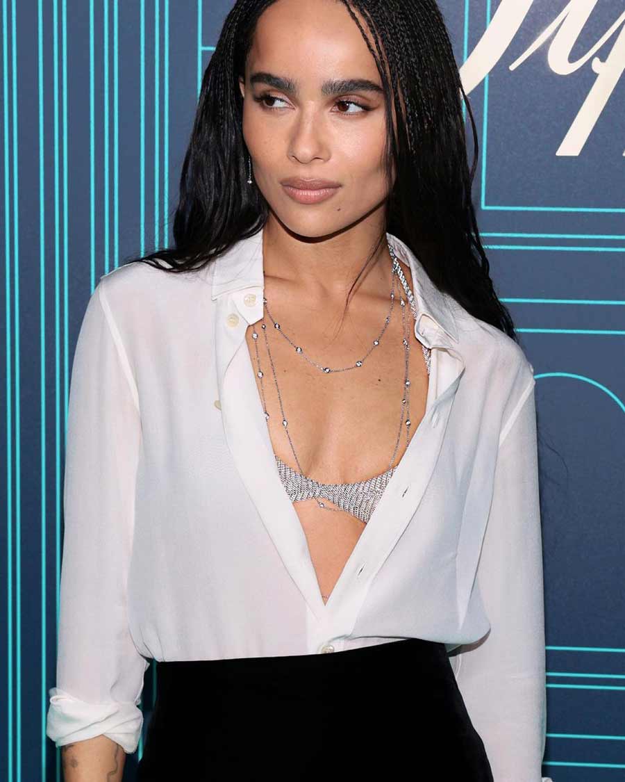 Zoe Kravitz turned heads in a Saint Laurent look — a white shirt paired with a shimmery silver mesh bra and a black velvet pencil skirt.