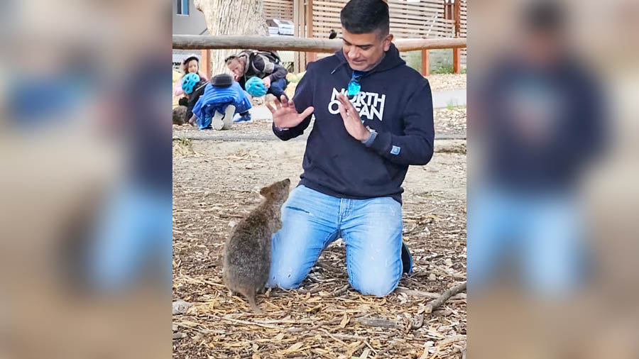 The author attempts a quokka selfie 