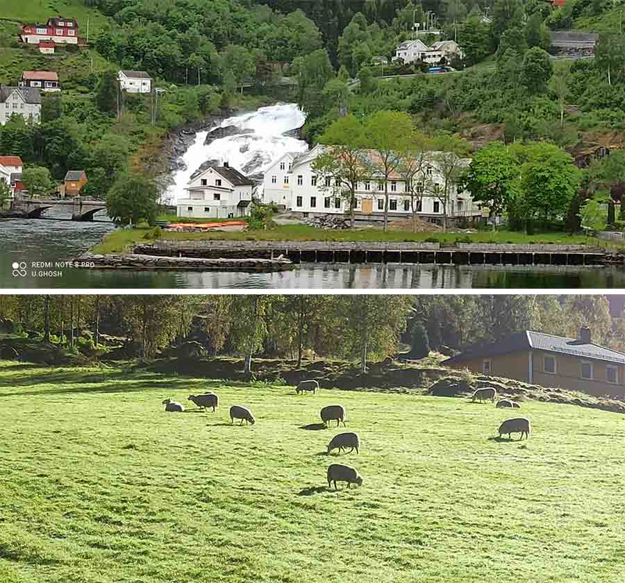 Be it white houses on the banks of the fjords or a little up there or flocks of sheep grazing on the lush green meadows, everything seems magical about Olden
