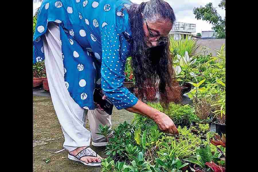 Snigdha Mitra tends to her plants