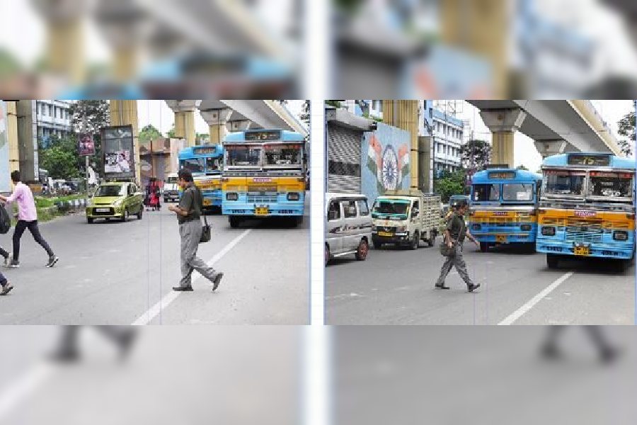A pedestrian starts crossing the Thakurpukur-bound flank of Diamond Harbour road when the signal was green for vehicles. By the time he  was on the middle of the road, two buses came close to him.  (Right) He decides retreat, perilously close to the buses, and returns to safety in nick of time