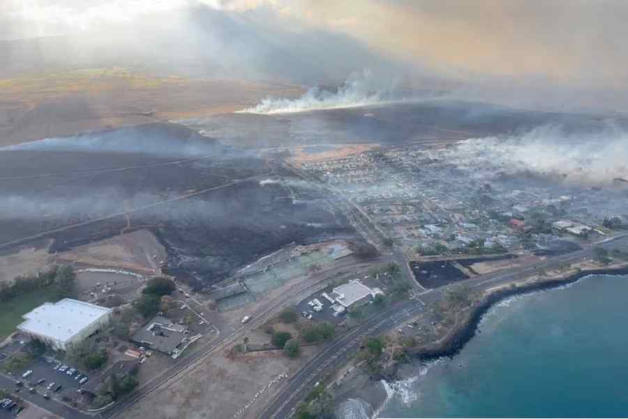 Hawaii wildfires kill 36 as 'apocalypse' hits resort city Telegraph India