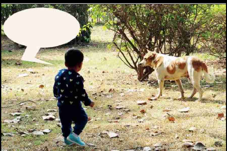 What is the child telling the dog?