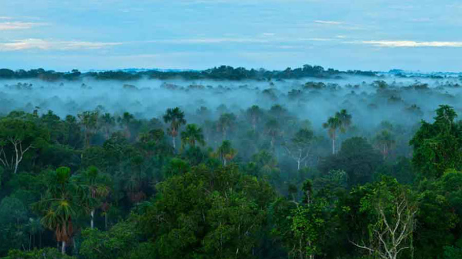 To mark the success of the summit, each country will be given special Amazonian wood as a good luck charm
