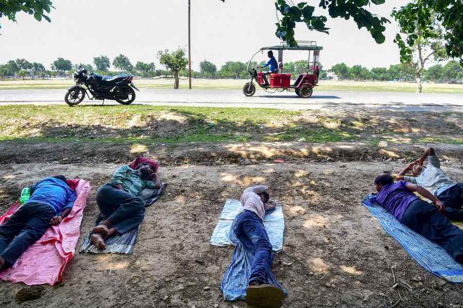 Hot weather can negatively affect the physiology of the human body, leading many to seek shade during the hottest part of the day