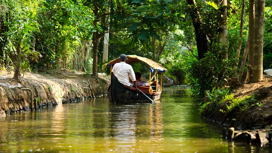 A boat ride on the backwaters of Kerala: God’s Own Country is clad in a garb of perennial greenery and a boat ride on the famed backwaters of Kerala is a leisurely travel experience. The ‘Venetian Capital of Kerala’, Alappuzha, and the Kumarakom, a collection of islands on the Vembanad Lake, are the two primary places to experience the beauty of gliding through the waters and soothing your eyes with verdant landscapes 