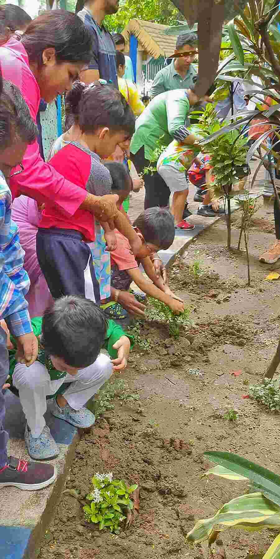 A tree plantation exercise was conducted at Allen Park under the initiative of Kolkata Municipal Corporation (KMC) along with school students students at ward number 63 