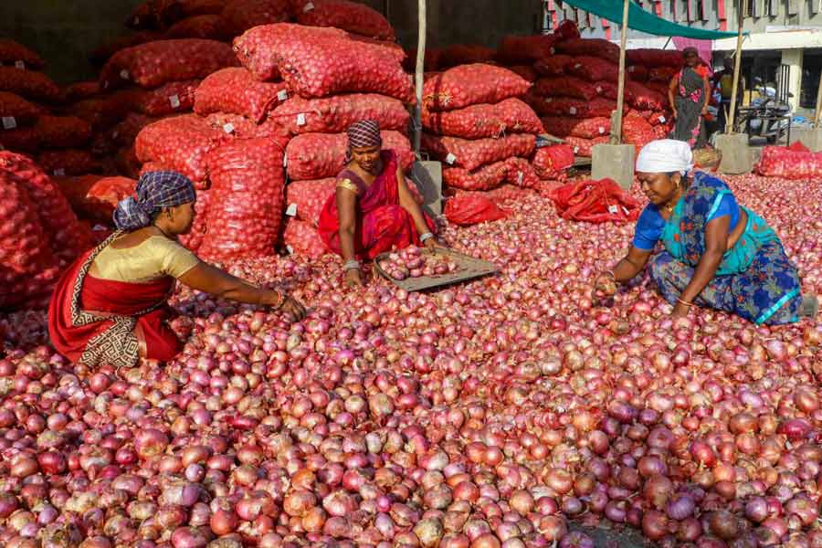 Onion export | Centre extends ban on onion exports till further orders ...