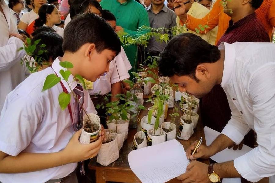 Students of Bhavan's Gangabux Kanoria Vidyamandir get saplings to help them fulfil the vision of greener India on the occasion of Independence Day.
