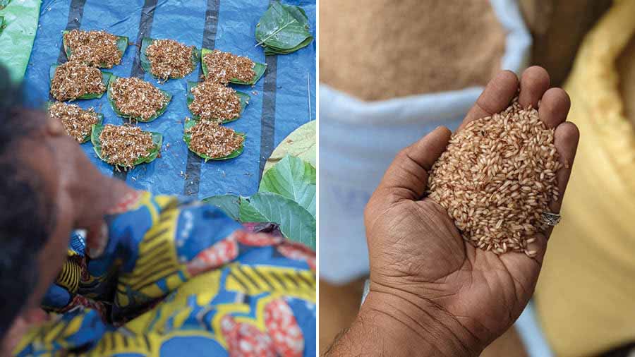 Fresh weaver ants being sold at a ‘haat’ in Odisha, and (right) Red parboiled rice variety from Mayurbhanj