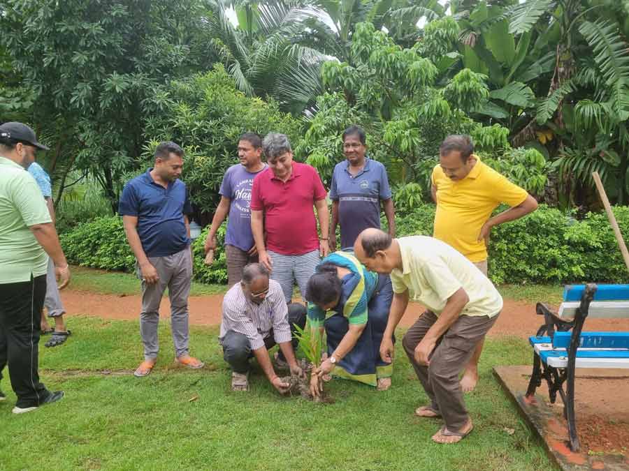 A tree plantation drive was held on Friday at Rowdon Square in the presence of the chairperson of Borough VII, Susmita Bhattacharya, along with a group of environmentalists and members of the Parks & Squares Department of Kolkata Municipal Corporation (KMC)   