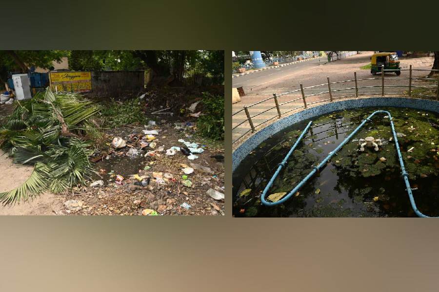 Garbage strewn by the roadside in AC Block of Salt Lake on Wednesday afternoon; (right) stagnant water at the base of a fountain in front of Central Park, near the Karunamoyee crossing